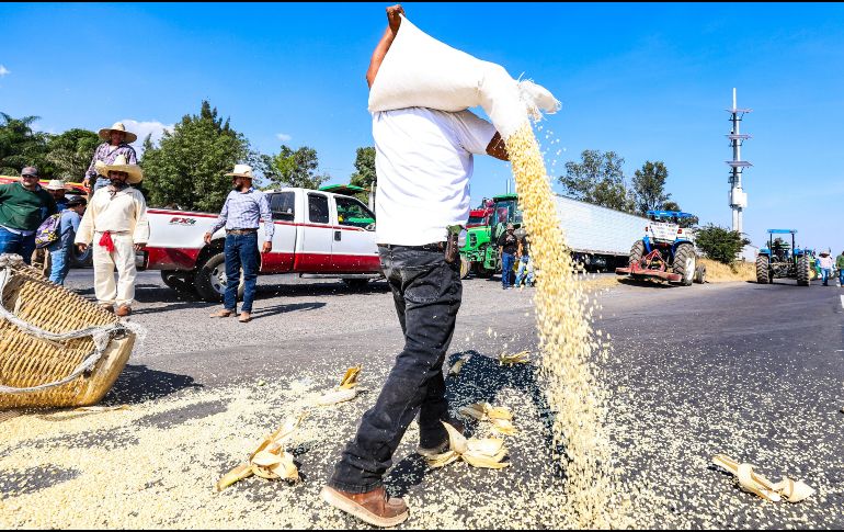 De esta forma, los productores aseguran que no habrá diálogo ni apertura mientras la propuesta oficial no alcance esa cantidad. EL INFORMADOR/ A. NAVARRO