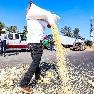Por menos de 7 mil 200 pesos la tonelada de maíz no nos movemos: Agricultores de Jalisco