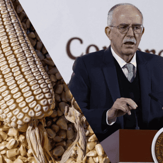 Estos son los acuerdos de Sader con agricultores por el precio del maíz