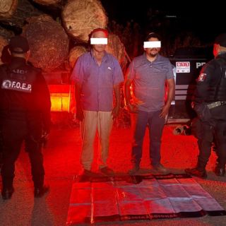 Detienen a dos hombres por transportar troncos de madera irregular en Atoyac
