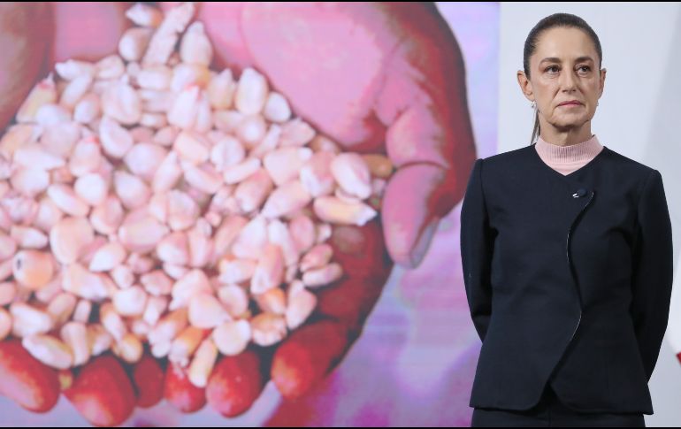 Este  nuevo sistema, busca dar certidumbre al precio y venta del cultivo . EFE/M. GUZMÁN