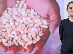 Este  nuevo sistema, busca dar certidumbre al precio y venta del cultivo . EFE/M. GUZMÁN