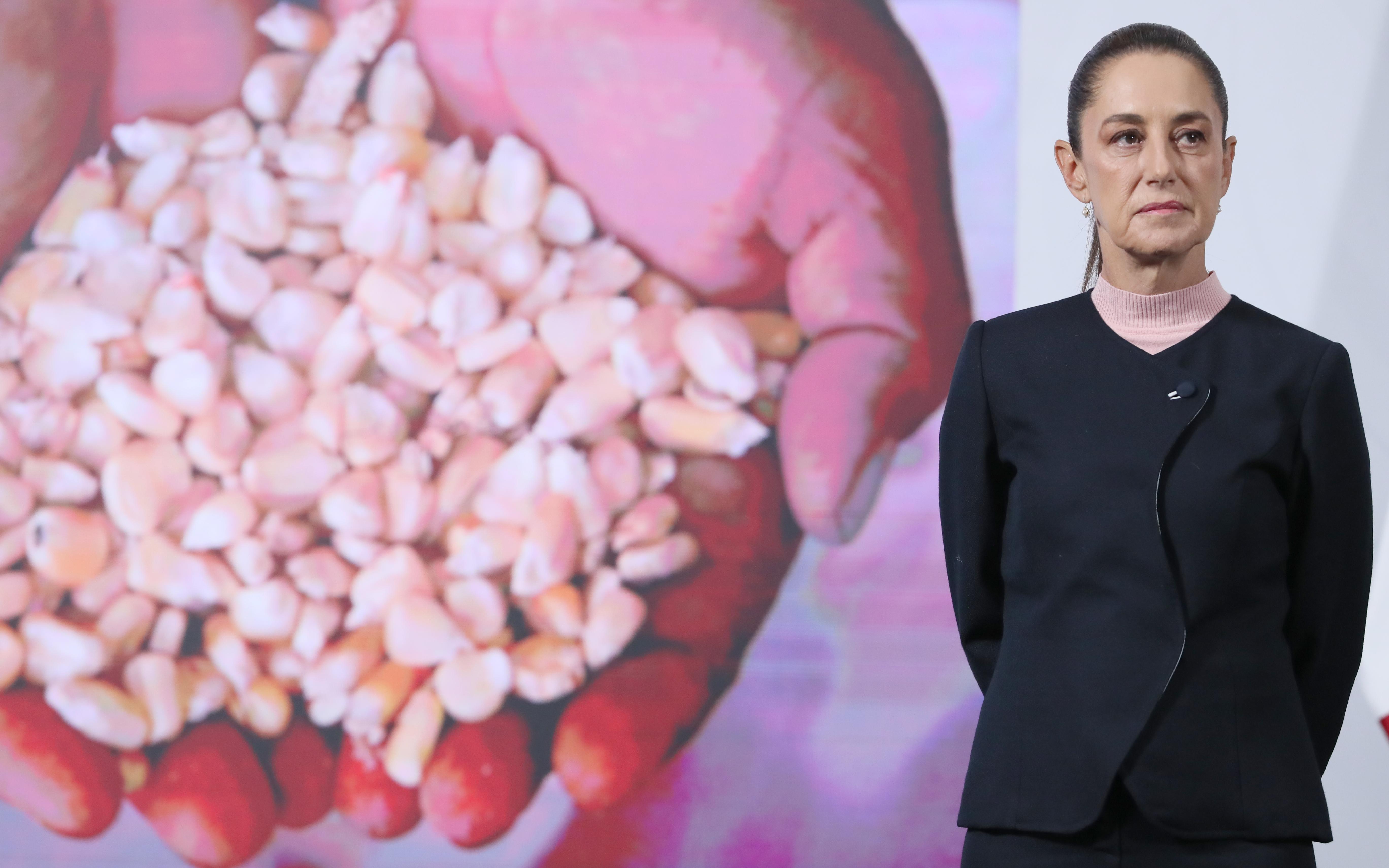 Este  nuevo sistema, busca dar certidumbre al precio y venta del cultivo . EFE/M. GUZMÁN