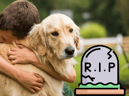 La relación con una mascota es única porque está llena de momentos de compañerismo, lealtad y amor incondicional.  ESPECIAL / CANVA