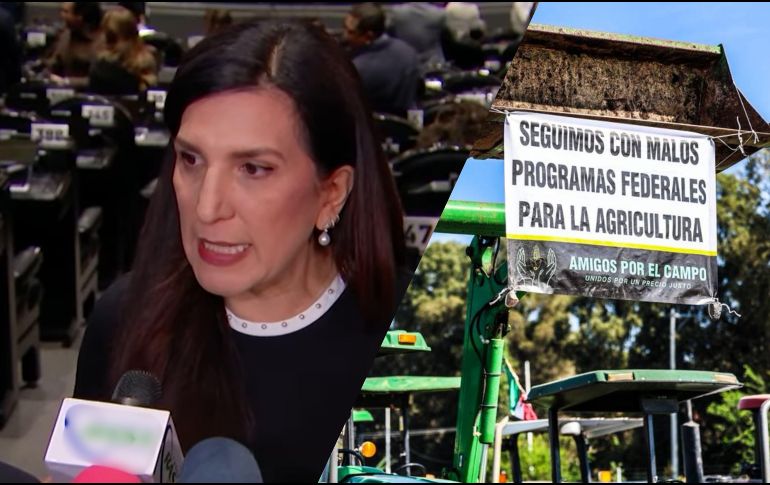 López Rabadán afirmó que acompaña la consigna “sin maíz no hay país”, pero considera que sin apoyo no hay desarrollo. EL INFORMADOR / ARCHIVO / ESPECIAL / Cámara de Diputados