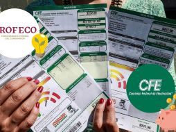 Conservar un consumo moderado de luz permite mantener el subsidio federal y evita pasar a la tarifa DAC, donde la electricidad es más cara. EL INFORMADOR/ARCHIVO/ESPECIAL