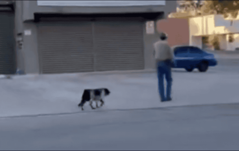 De acuerdo con la fecha que aparece en la grabación, el incidente habría ocurrido el pasado 28 de octubre, en una de las calles principales de la colonia, ubicada en la capital del estado. ESPECIAL