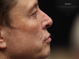 El sitio de Grokipedia tiene una apariencia minimalista con poco más que una barra de búsqueda en la que los usuarios pueden escribir sus consultas. ESPECIAL / AFP y CANVA