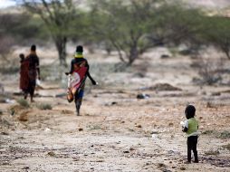 Las múltiples afectaciones por guerras, migración, choques económicos y fenómenos climáticos han influido directamente en los problemas de hambruna. EFE / ARCHIVO