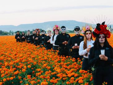 Entre enero de 2019 y abril de 2025, 149 policías en territorio jalisciense han sido asesinados mientras se encontraban en servicio activo. ESPECIAL / Policía del Estado