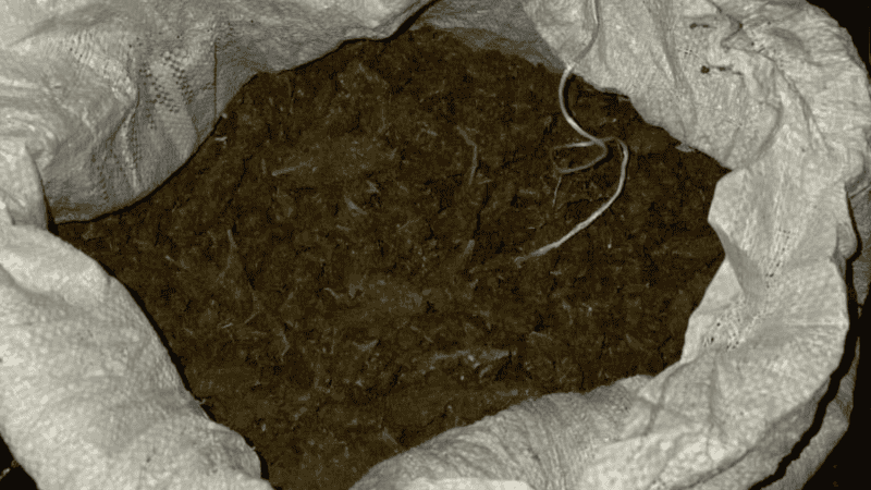  ESPECIAL/ SECRETARÍA DE SEGURIDAD DEL ESTADO&nbsp;