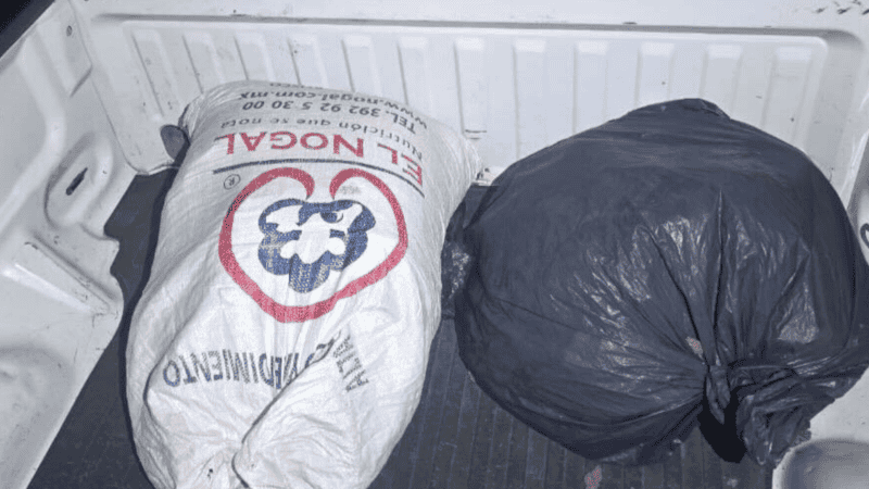 &nbsp;&nbsp;ESPECIAL/ SECRETARÍA DE SEGURIDAD DEL ESTADO&nbsp;