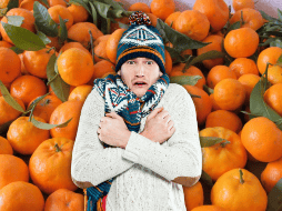 El mes de noviembre marca el inicio de la transición hacia el invierno, etapa en la que los alimentos de temporada suelen ser más ricos en vitaminas y minerales. ESPECIAL / CANVA