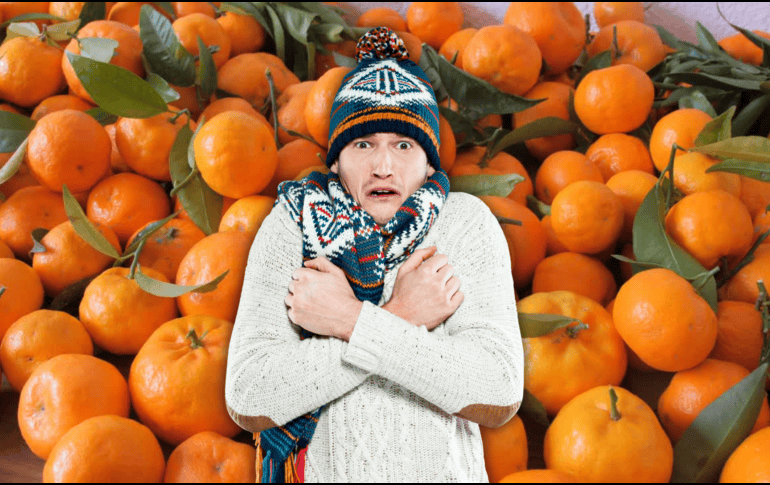 El mes de noviembre marca el inicio de la transición hacia el invierno, etapa en la que los alimentos de temporada suelen ser más ricos en vitaminas y minerales. ESPECIAL / CANVA