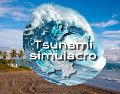 Toma en cuenta esta información si te encuentras en alguna costa de Jalisco; el día de mañana se llevará a cabo un simulacro de tsunami. NTX / ARCHIVO