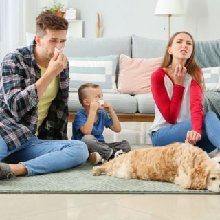 ¿Cómo puedo tener una mascota si soy alérgico?