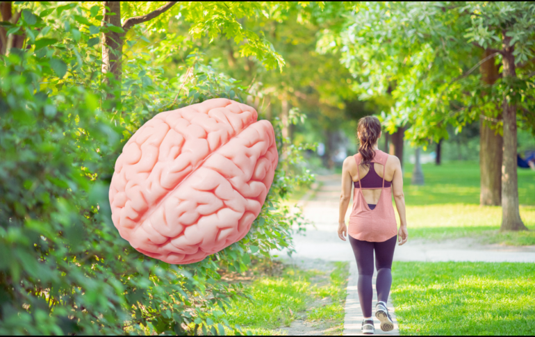 La actividad física, señala la Secretaría de Bienestar de México, mejora la salud del cerebro y el aprendizaje. ESPECIAL / CANVA