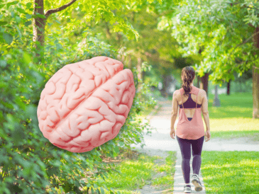 La actividad física, señala la Secretaría de Bienestar de México, mejora la salud del cerebro y el aprendizaje. ESPECIAL / CANVA