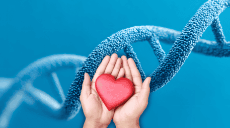 Esta investigación abre nuevas posibilidades terapéuticas para reparar el daño cardíaco. ESPECIAL / CANVA