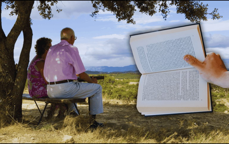 Existen actividades que retrasan el envejecimiento del cerebro y previenen enfermedades neurodegenerativas. ESPECIAL / CANVA