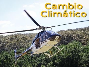 La situación de los bosques alrededor del mundo es dispar. EL INFORMADOR / ARCHIVO