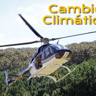 Bosques se expanden, pero el cambio climático amenaza este avance; cada año se pierden casi 11 millones de hectáreas