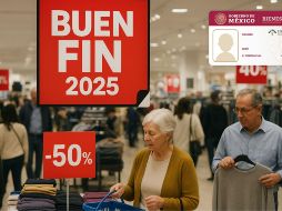 El INAPAM mantiene sus descuentos habituales para el público acreditado. ESPECIAL/DALL-E