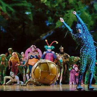Adéntrate en la magia de los insectos en “OVO” del Cirque du Soleil