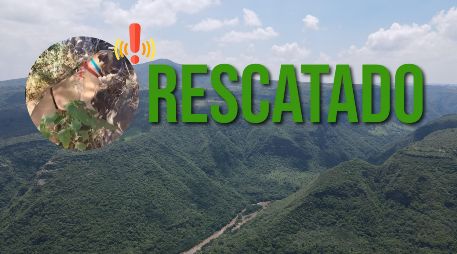 No se informó la razón de la presencia del perro en esa zona, ni si fue entregado a sus dueños o fue hospedado por los rescatistas. EL INFORMADOR / ARCHIVO