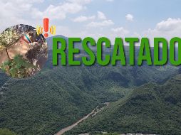 No se informó la razón de la presencia del perro en esa zona, ni si fue entregado a sus dueños o fue hospedado por los rescatistas. EL INFORMADOR / ARCHIVO