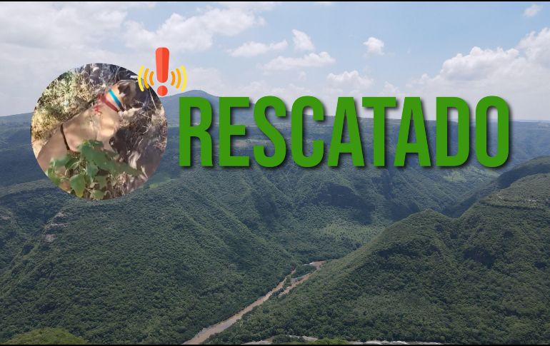 No se informó la razón de la presencia del perro en esa zona, ni si fue entregado a sus dueños o fue hospedado por los rescatistas. EL INFORMADOR / ARCHIVO