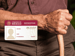 El monto del aguinaldo para los adultos mayores que forman parte del programa de Vinculación Productiva del Inapam varía según el sueldo percibido. ESPECIAL