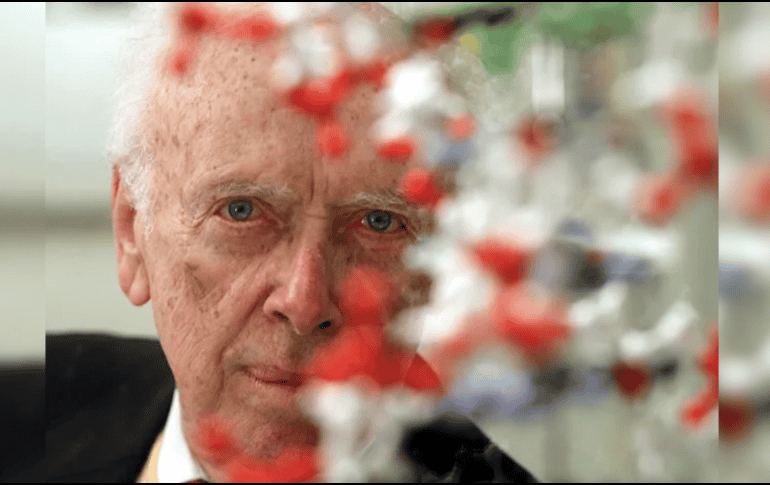 En 1953, con 25 años, Watson ayudó a determinar la estructura del ADN junto al físico Francis Crick, basándose en datos de la química Rosalind Franklin, el biofísico Maurice Wilkins y sus compañeros del King's College, en Londres. AP / ARCHIVO