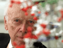 En 1953, con 25 años, Watson ayudó a determinar la estructura del ADN junto al físico Francis Crick, basándose en datos de la química Rosalind Franklin, el biofísico Maurice Wilkins y sus compañeros del King's College, en Londres. AP / ARCHIVO