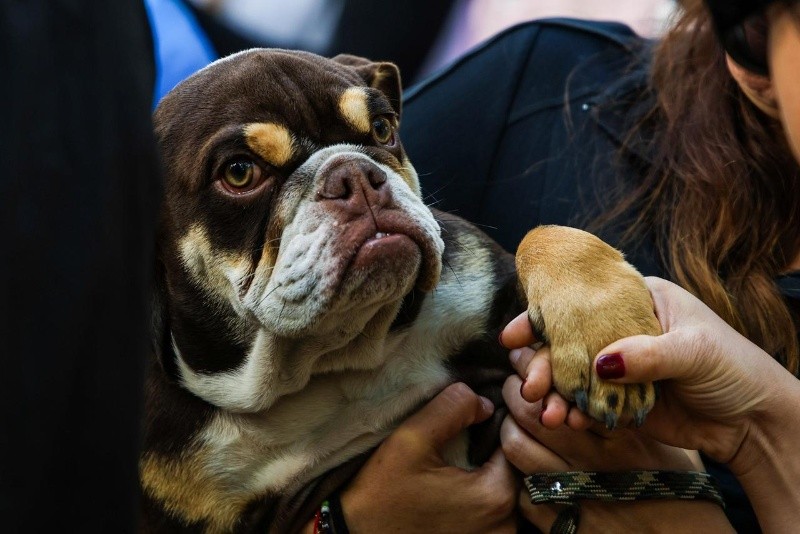 EL INFORMADOR / A. Navarro