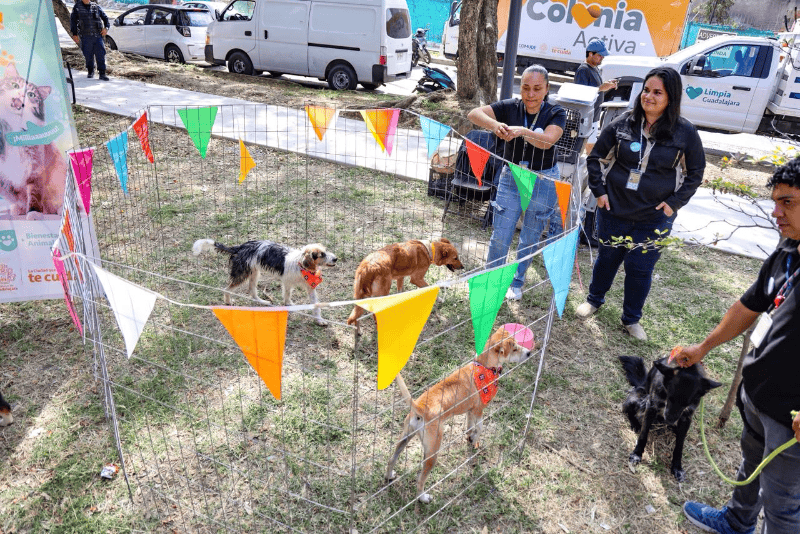 EL INFORMADOR / A. Navarro 