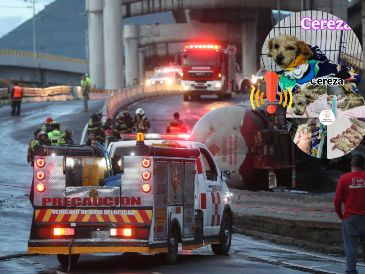 Esto fue de la perrita lastimada por la explosión de una pipa en Ixtapalapa el pasado mes de septiembre. EFE / ARCHIVO