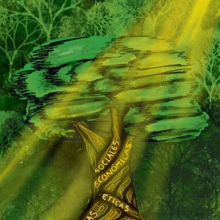 ¿Estudiar o aprender lo ambiental?