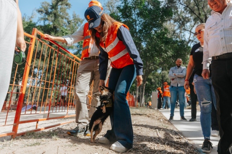 &nbsp;&nbsp;ESPECIAL / AYUNTAMIENTO DE GUADALAJARA