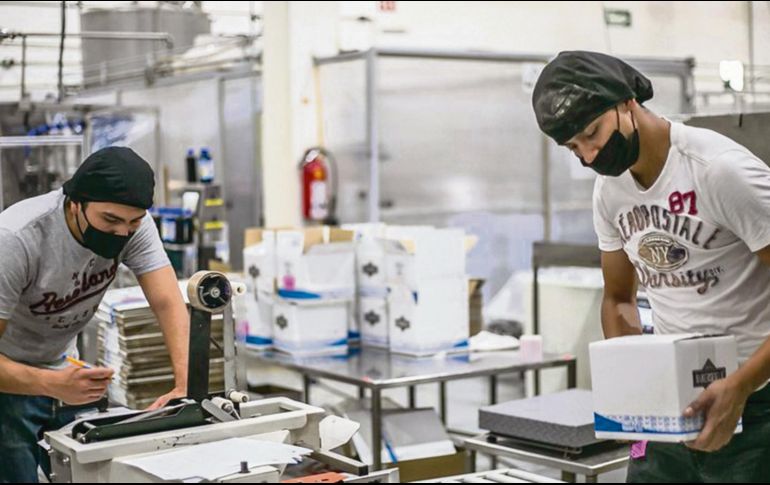 Empleados de una empresa en Jalisco realizan sus actividades diarias, contribuyendo al crecimiento económico local y al fortalecimiento de la producción, mientras se implementan programas de capacitación y buenas prácticas laborales. ESPECIAL