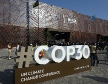 Más de medio centenar de países respalda el Fondo para la Conservación de los Bosques Tropicales, una de las grandes aportaciones de Brasil a esta cumbre. EFE/ A. LACERDA