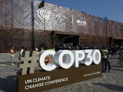 Más de medio centenar de países respalda el Fondo para la Conservación de los Bosques Tropicales, una de las grandes aportaciones de Brasil a esta cumbre. EFE/ A. LACERDA