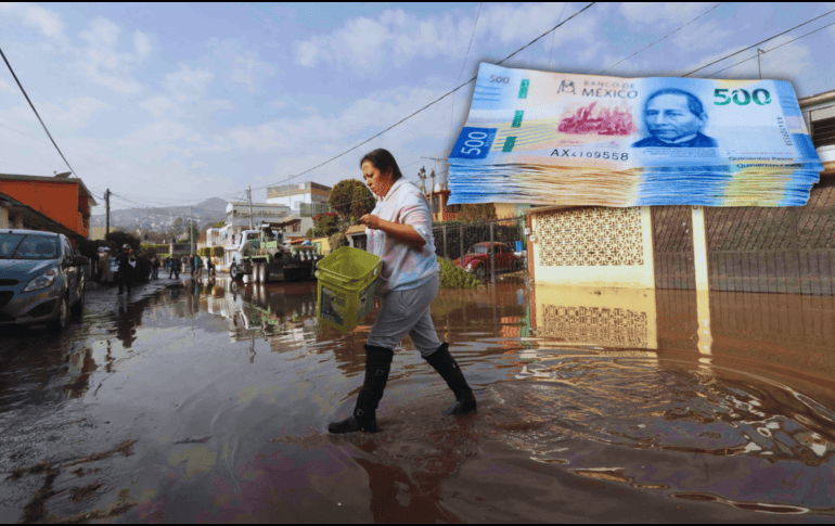 Para recibir el pago se les enviará un mensaje de texto (SMS) a los beneficiarios al número telefónico que registraron como medio de contacto para informarles el día, hora y módulo donde les corresponde recibir su apoyo. SUN / ARCHIVO