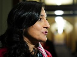 Anand también invitó a los ministros de Relaciones Exteriores de Australia, Brasil, India, Arabia Saudita, México, Corea del Sur, Sudáfrica y Ucrania. AP / S. KILPATRICK