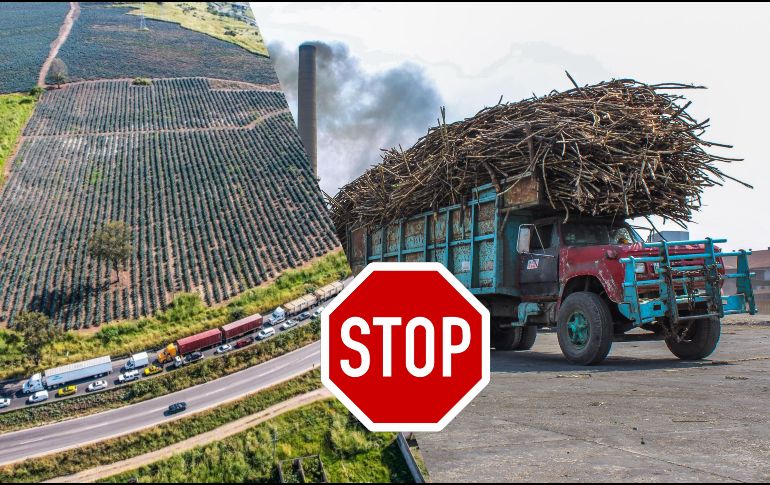 Javier Sánchez aseguró que la organización de productores de caña de azúcar que encabeza estableció un acuerdo económico con el Gobierno de México. EFE / EL INFORMADOR / ARCHIVO