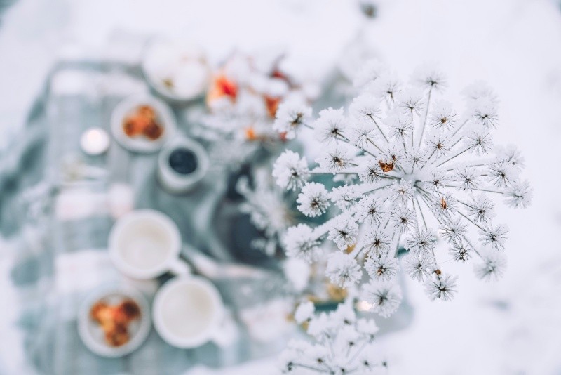 Este año se espera que la Navidad luzca con una estética serena y elegante. UNSPLASH / A. AUSTVIKA