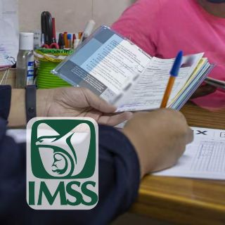 Así puedes reponer la cartilla del IMSS si se te pierde