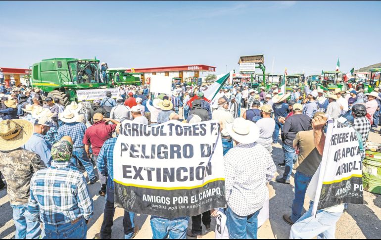 Mientras Tlajomulco y el Gobierno de Jalisco aumentan apoyos a los maiceros, éstos amenazan con repetir bloqueos a nivel nacional el próximo 24 de noviembre, por diferencias con el Gobierno federal. EL INFORMADOR/ A. Navarro