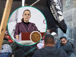 Los manifestantes, tras no conseguir acceder a Palacio Nacional, se desplazaron hacia la Cámara de Diputados, donde realizarán un plantón. EFE / ARCHIVO / M. Hartz