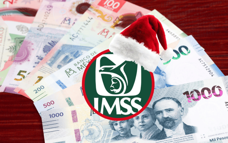 Quienes cuentan con una pensión bajo la Ley del Seguro Social de 1997 (Ley 97) no obtienen un pago de aguinaldo por parte del IMSS, ya que sus ingresos provienen de su cuenta individual de Afore.  CANVA&nbsp;